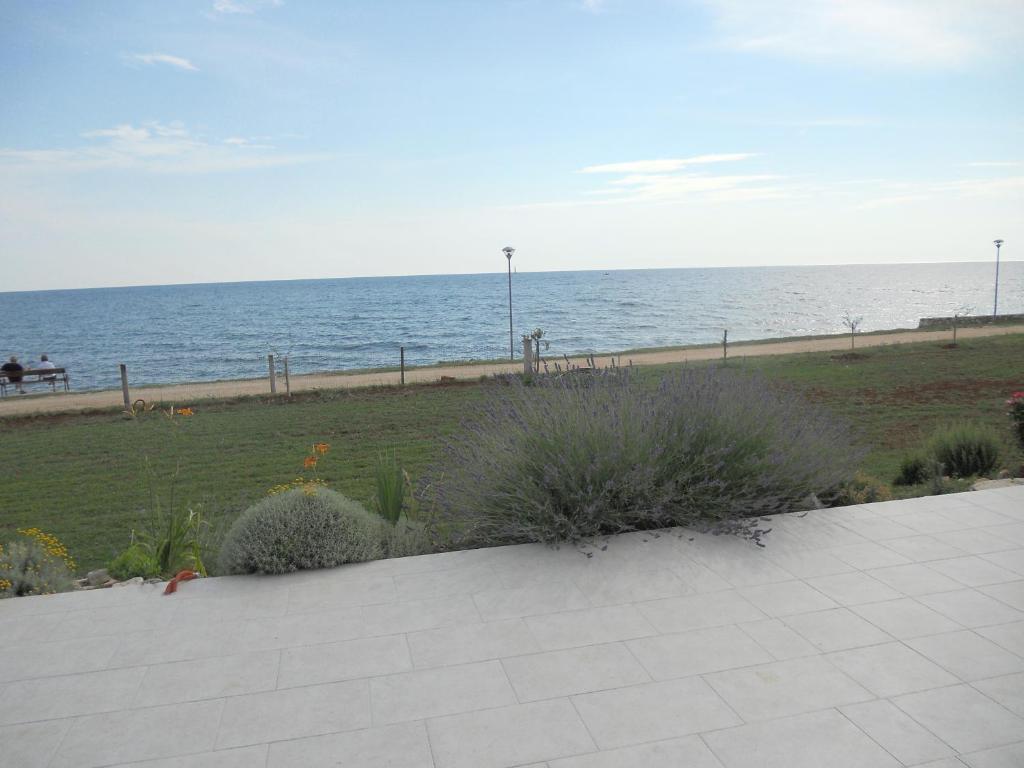 Alen Apartment